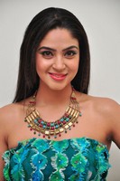 Angana Roy Gallery